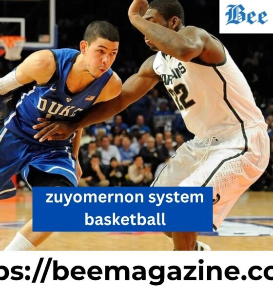Zuyomernon System Basketball