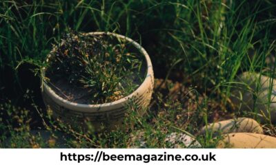 Kashyeportazza Ltd Products