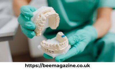 Nerovet AI Dentistry