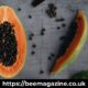 Innovadora Crema Hidratante de Papaya en Perú Tesis Doctoral